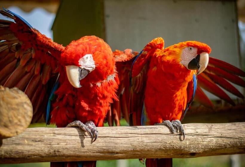 בית מלון כפרי Hacienda Buenos Aires En Iza