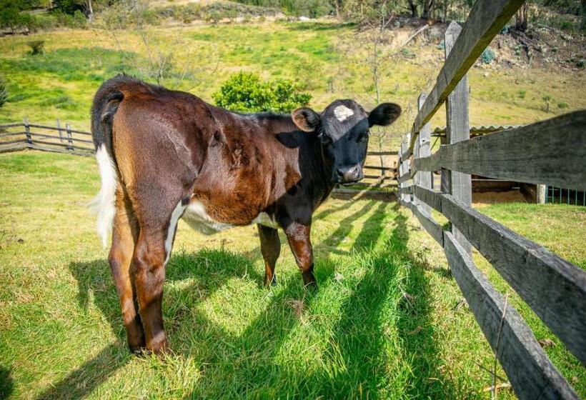 בית מלון כפרי Hacienda Buenos Aires En Iza