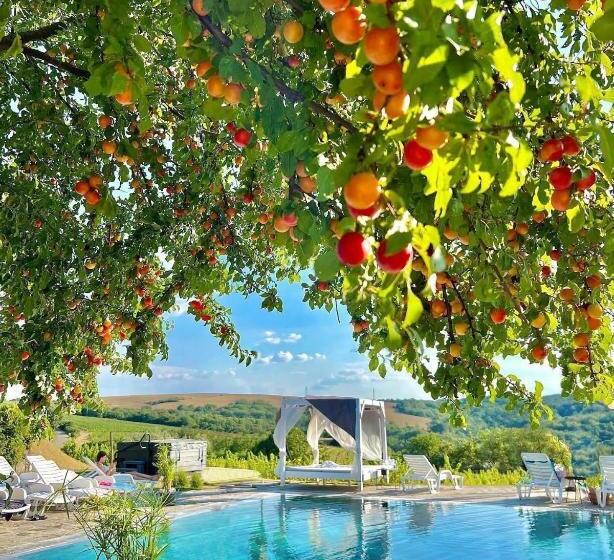 فندق Hilltop Borbirtok & étterem