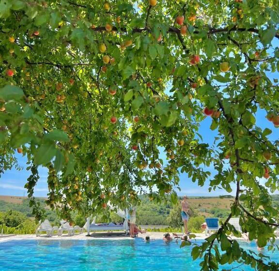 فندق Hilltop Borbirtok & étterem