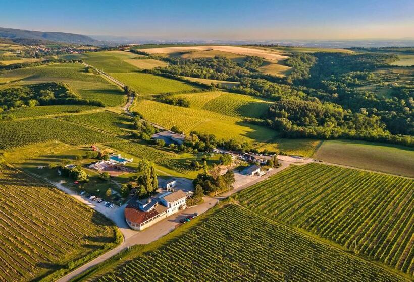 فندق Hilltop Borbirtok & étterem