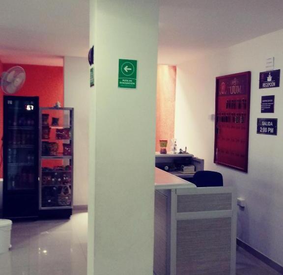 Отель Hospedaje Tuuma