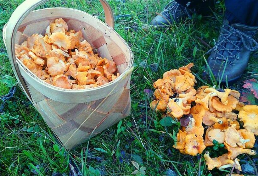 酒店 L Klimpfjäll