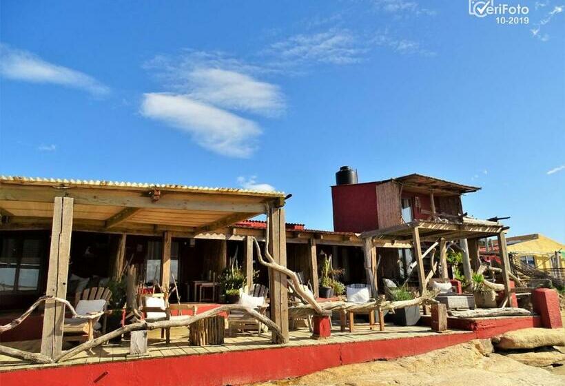 Отель La Perla Del Cabo