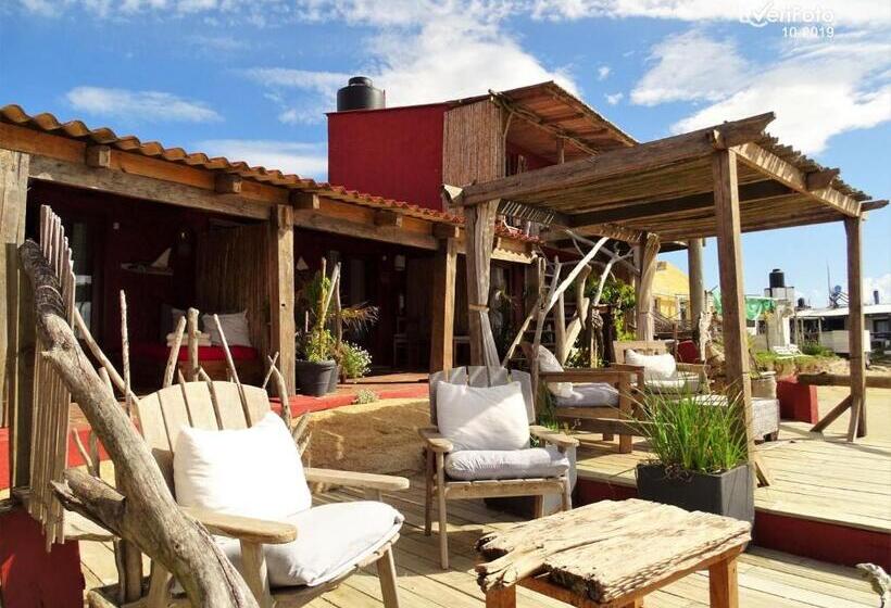 Отель La Perla Del Cabo