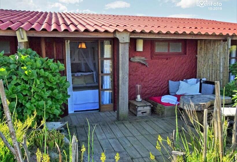 Отель La Perla Del Cabo