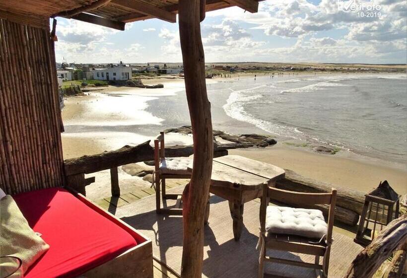 Отель La Perla Del Cabo