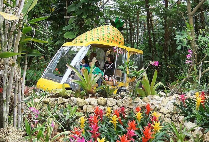 בית מלון כפרי Okinawa City