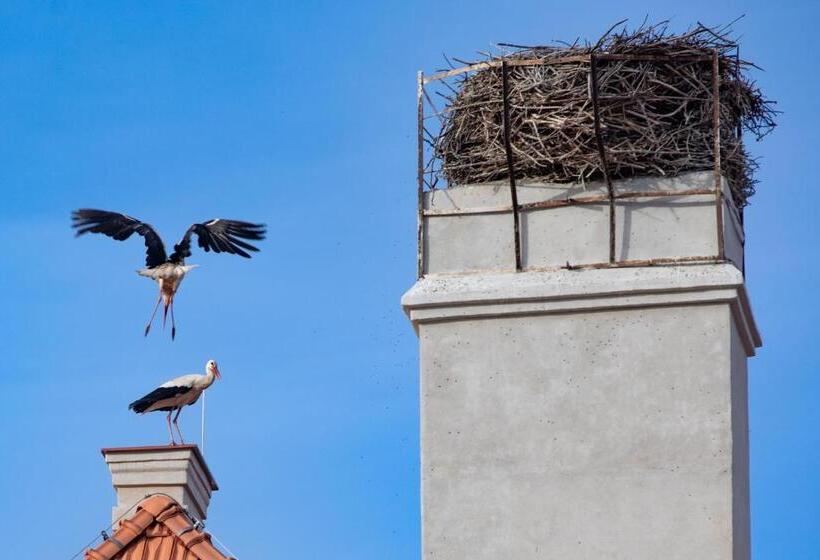 فندق Residence Safari Resort Bison Lodge