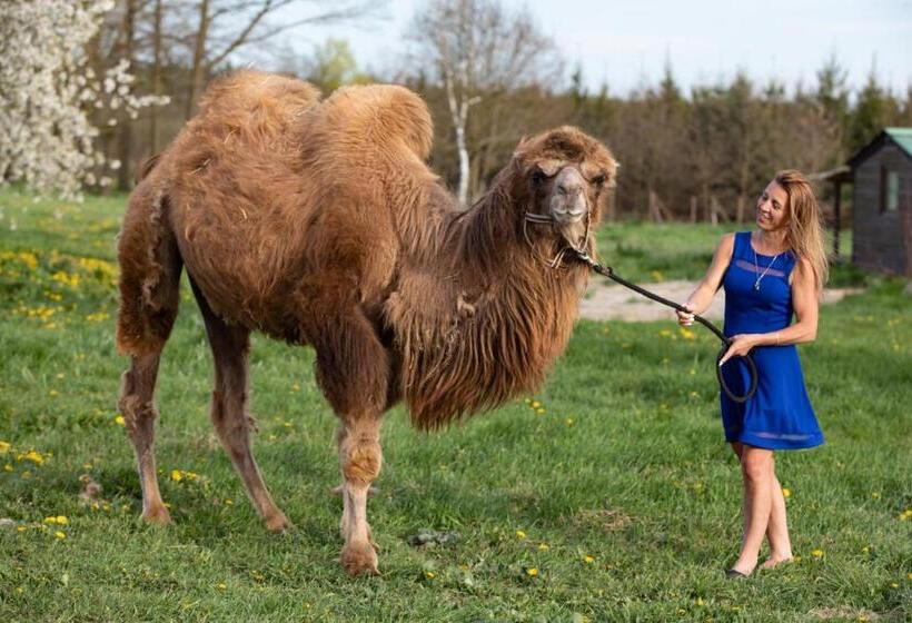 فندق Residence Safari Resort Bison Lodge