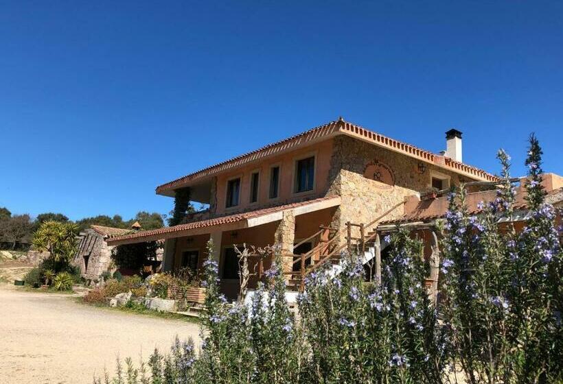 فندق Sa Tanchitta