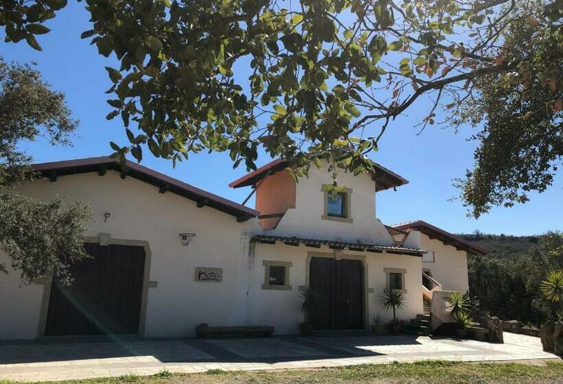 فندق Sa Tanchitta