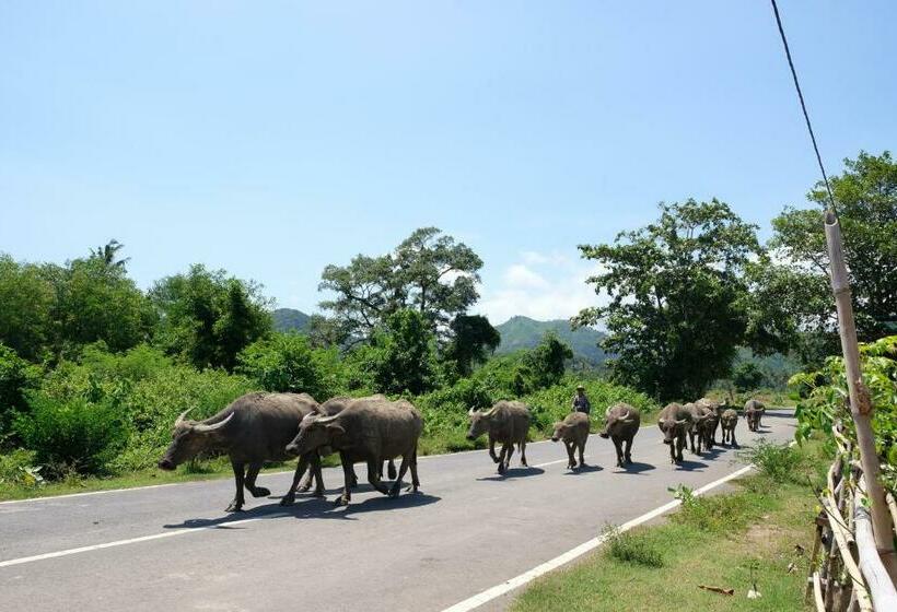 Suku Lifestyle Hotel & Villas