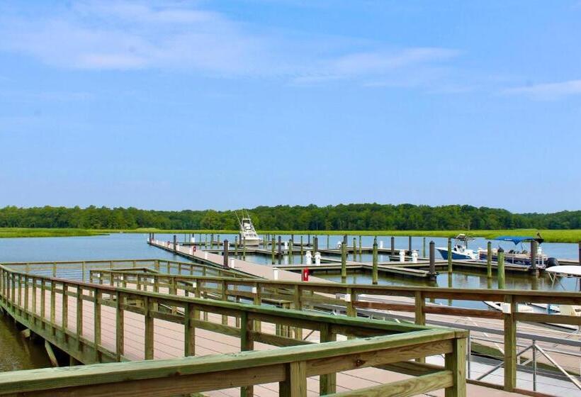 فندق Surry Seafood Company