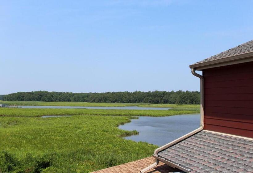 فندق Surry Seafood Company