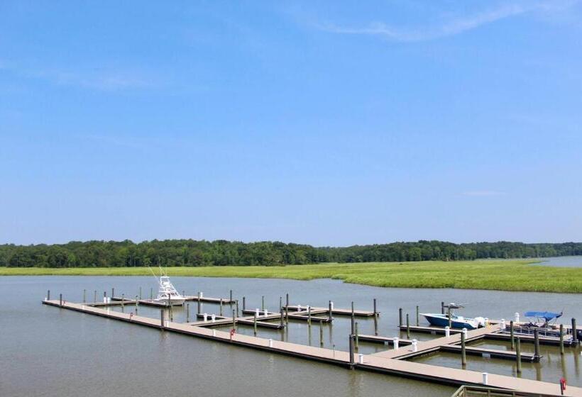 فندق Surry Seafood Company