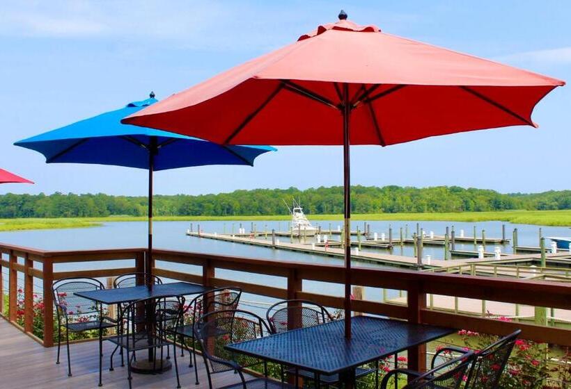 فندق Surry Seafood Company