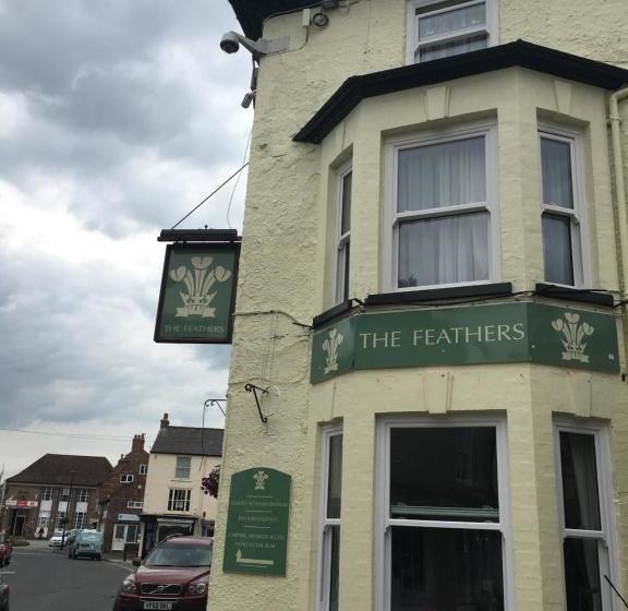 Отель The Feathers