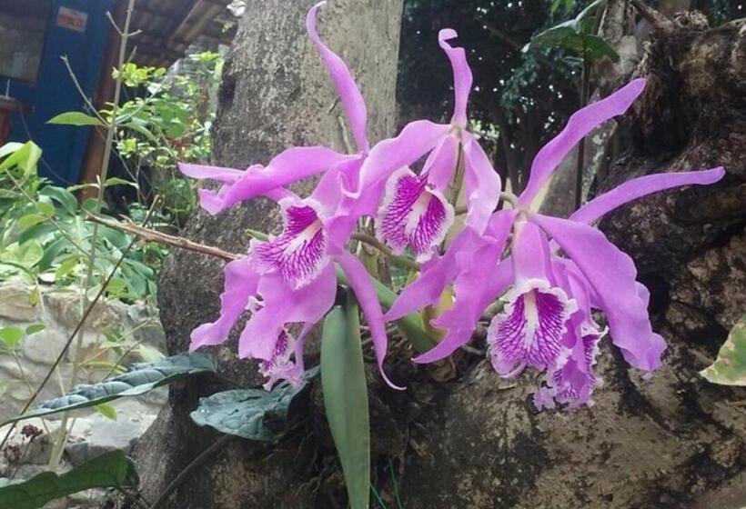 Отель Residencial Valle Sagrado Vilcabamba