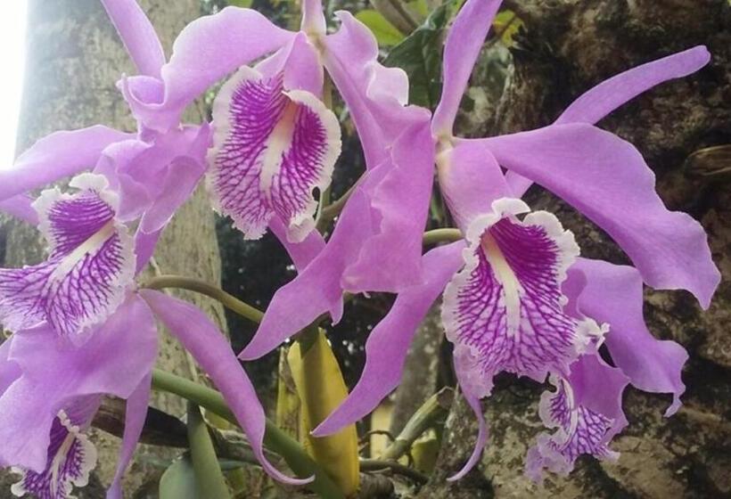 هتل Residencial Valle Sagrado Vilcabamba