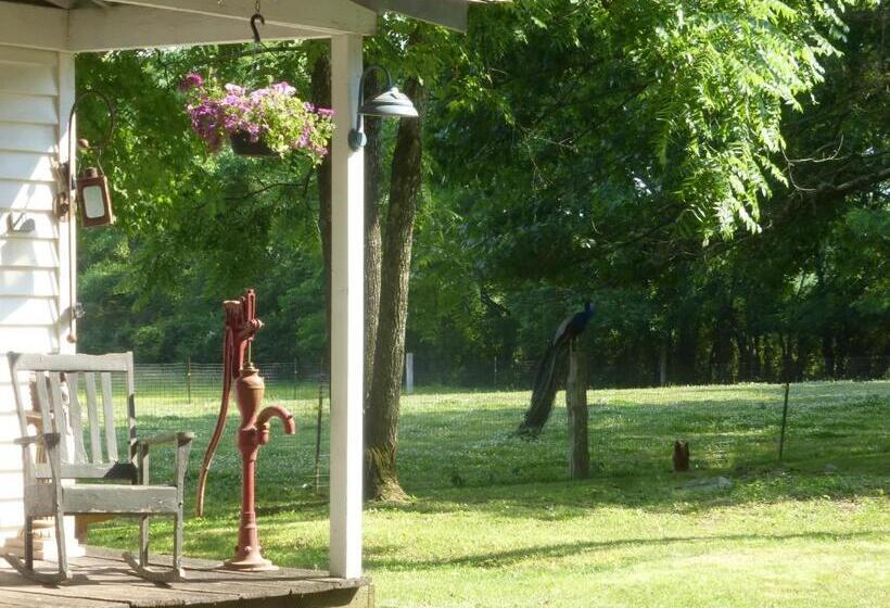 Mulberry Lavender Farm And B&b