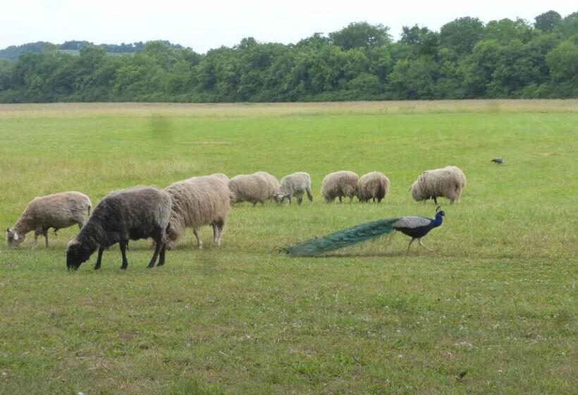 Mulberry Lavender Farm And B&b