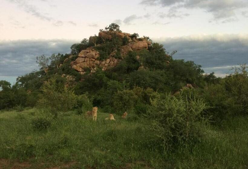 ペンション Adonsonia Lodge