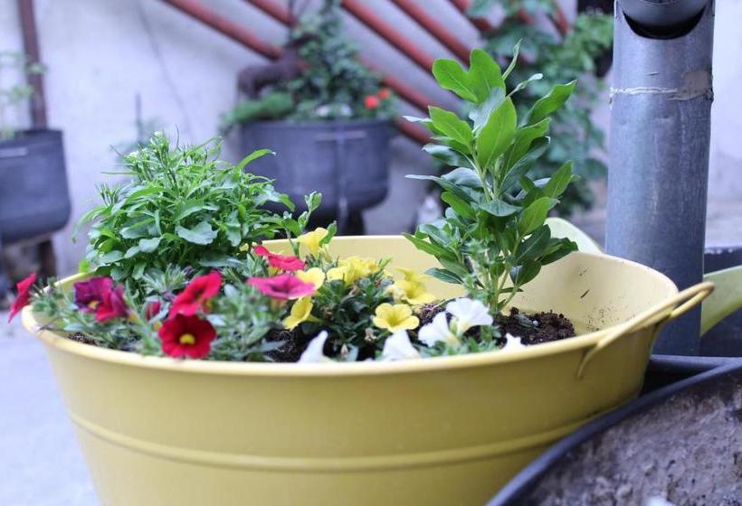 פנסיון Apartmány Caffe & Grill