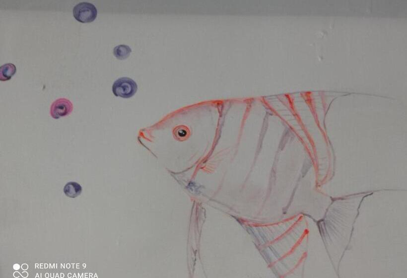 بنسيون Casa Caracola