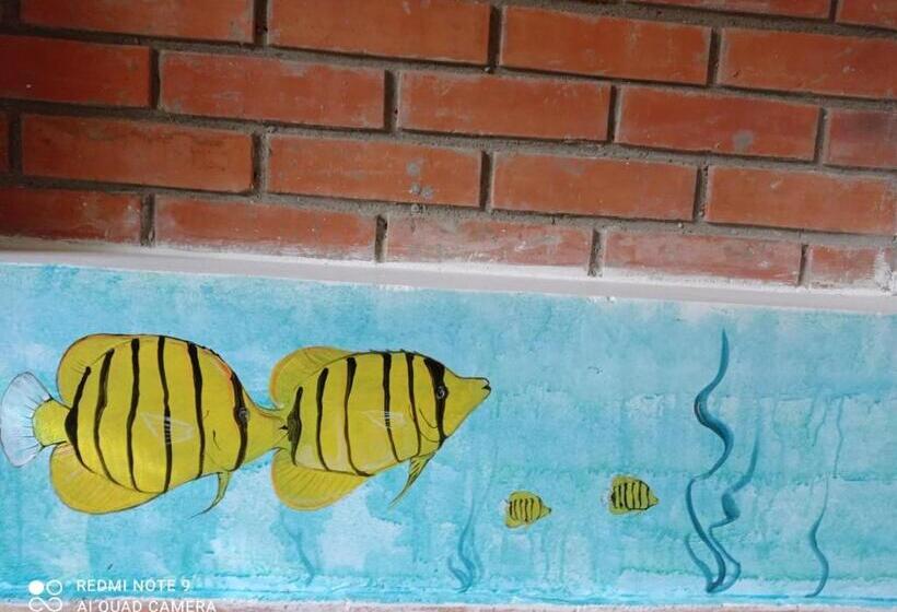 بنسيون Casa Caracola