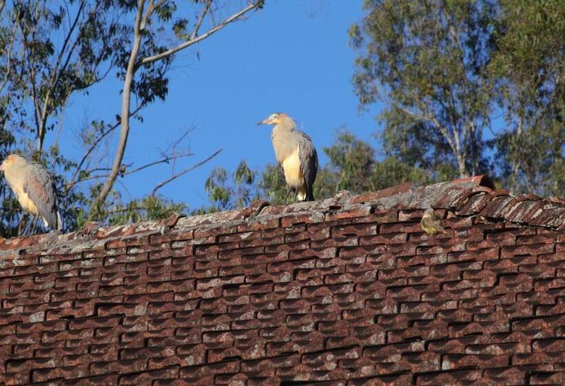 펜션 Fazenda Pedra Grande
