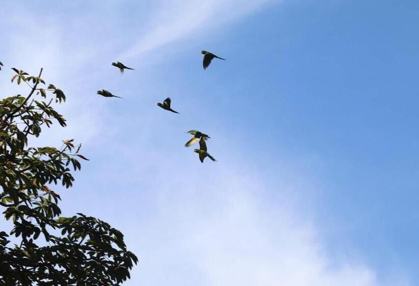 펜션 Fazenda Pedra Grande