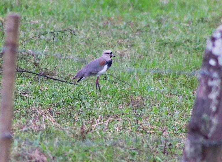 펜션 Fazenda Pedra Grande