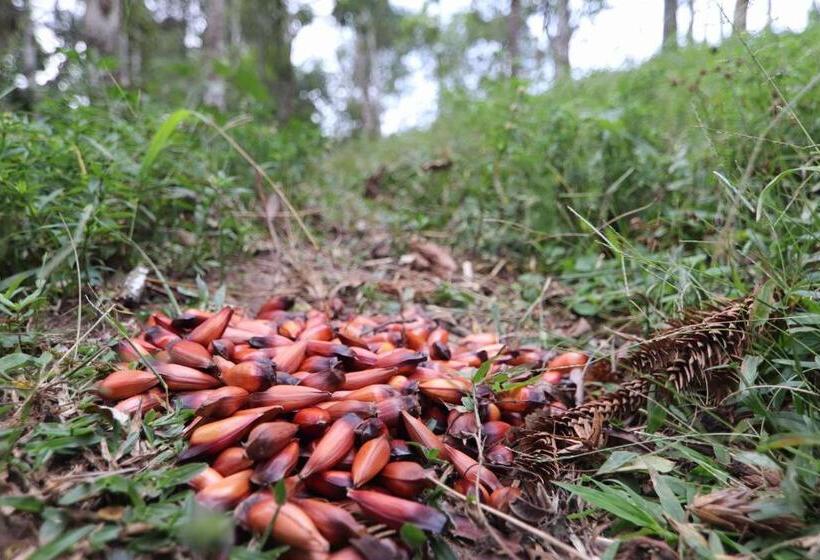 펜션 Fazenda Pedra Grande