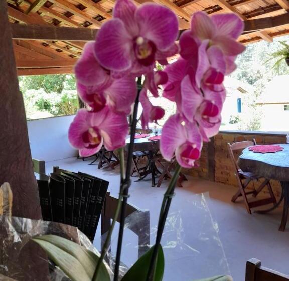 펜션 Fazenda Pedra Grande