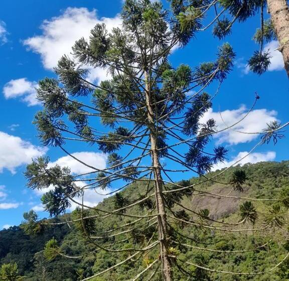 펜션 Fazenda Pedra Grande