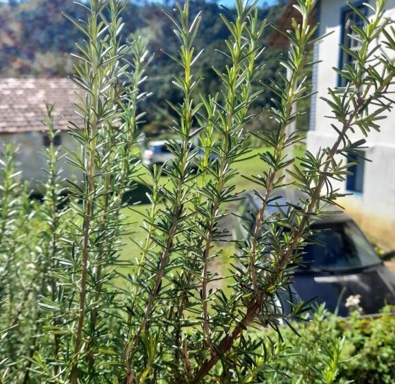 펜션 Fazenda Pedra Grande