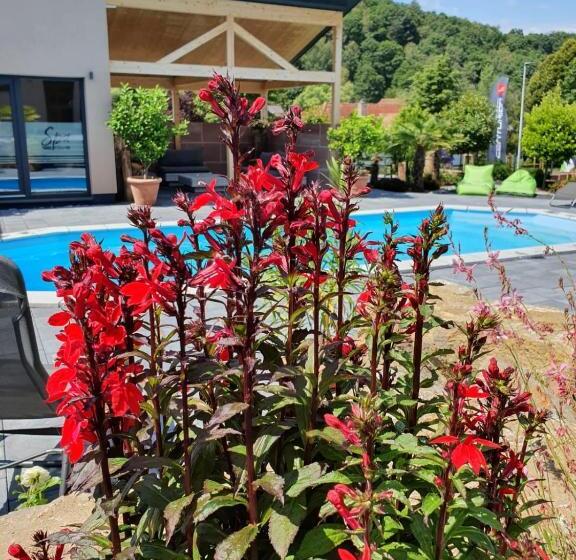 بنسيون Fba Village