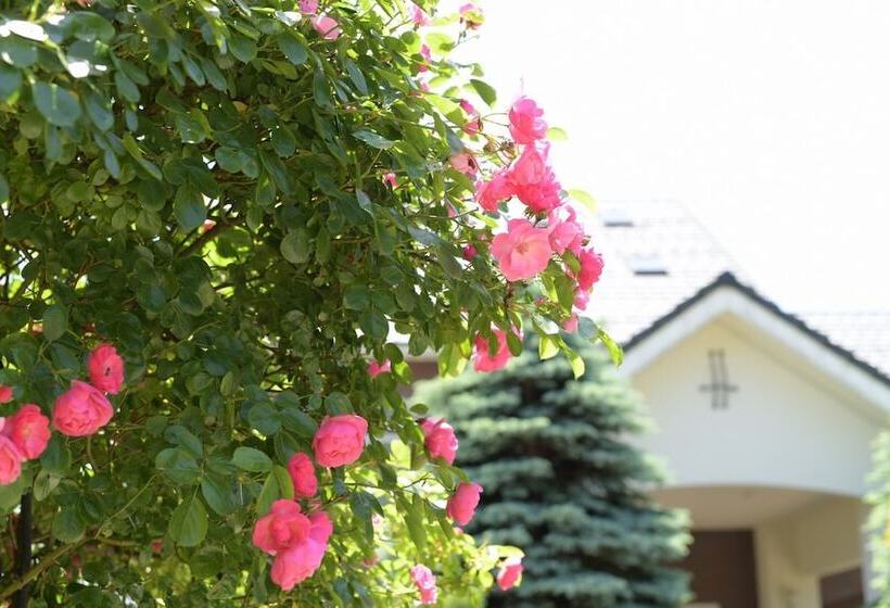 بنسيون Guesthouse Kizuna
