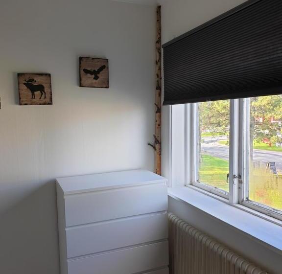 פנסיון Hook&cup