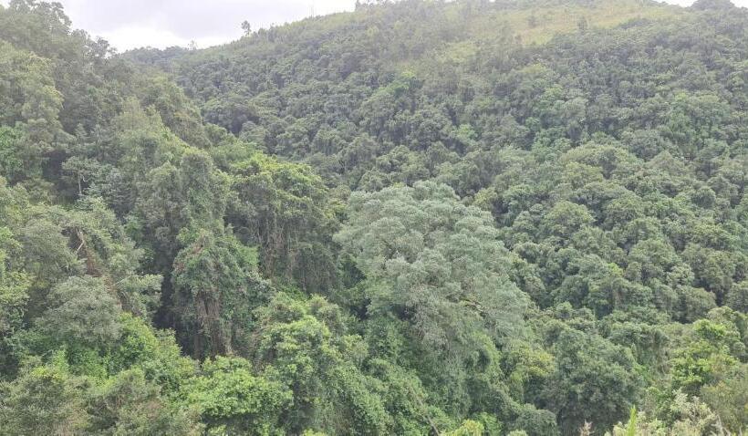 بنسيون Kukummi Lodge   Formerly Mackaya Bella Country Lodge