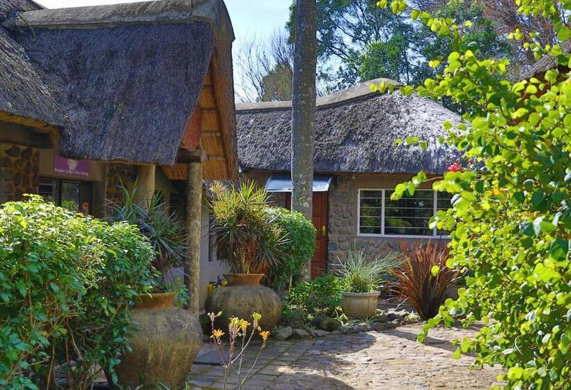 بنسيون Kukummi Lodge   Formerly Mackaya Bella Country Lodge