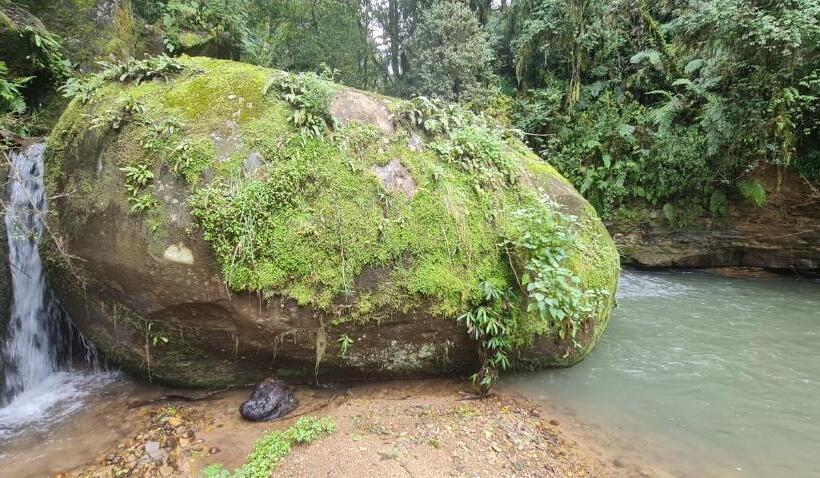 بنسيون Kukummi Lodge   Formerly Mackaya Bella Country Lodge