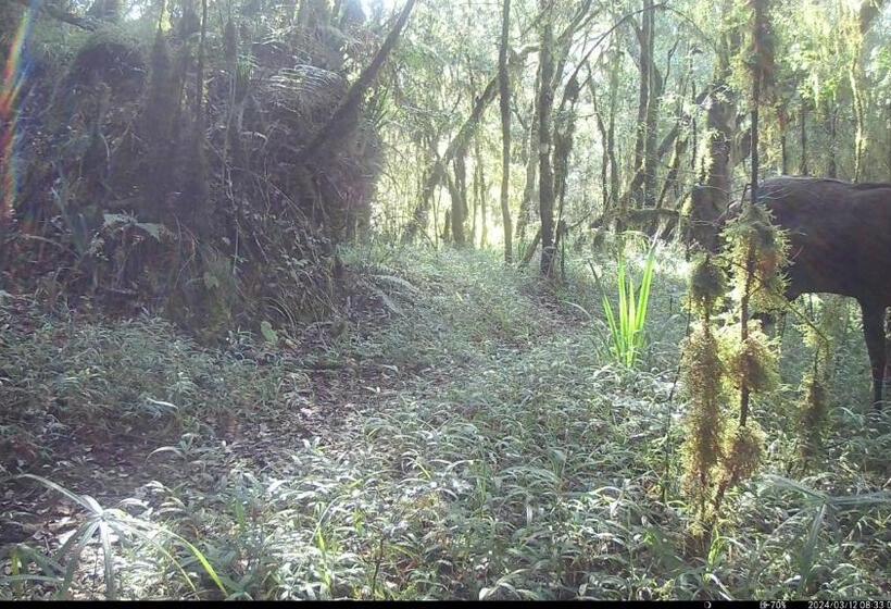 بنسيون Kukummi Lodge   Formerly Mackaya Bella Country Lodge