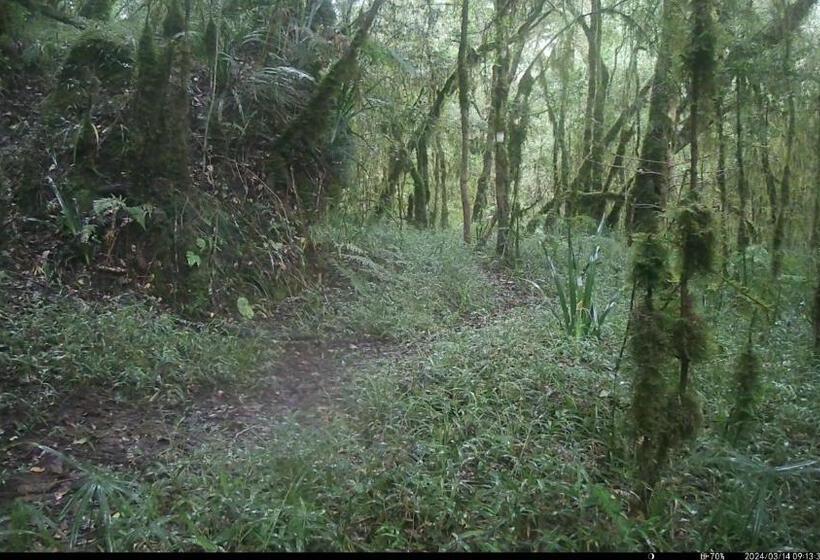 بنسيون Kukummi Lodge   Formerly Mackaya Bella Country Lodge