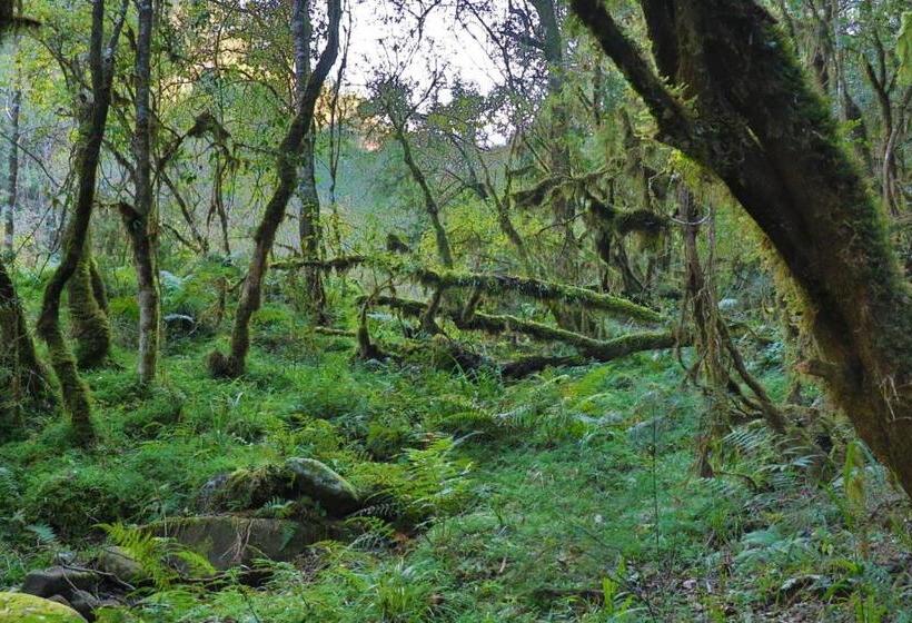 بنسيون Kukummi Lodge   Formerly Mackaya Bella Country Lodge