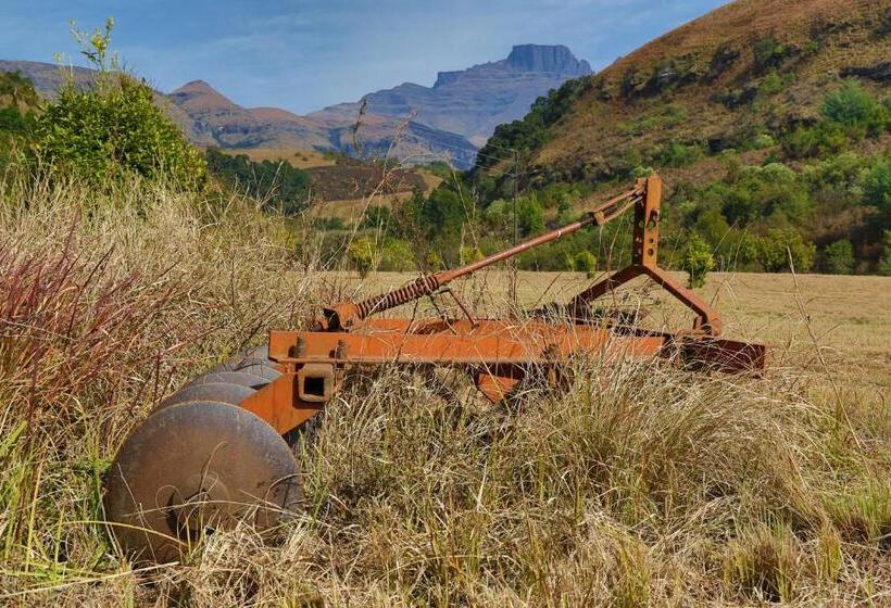 بنسيون Kukummi Lodge   Formerly Mackaya Bella Country Lodge