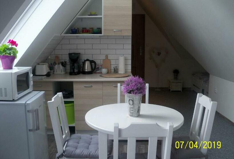 膳宿费 Penzion Iv