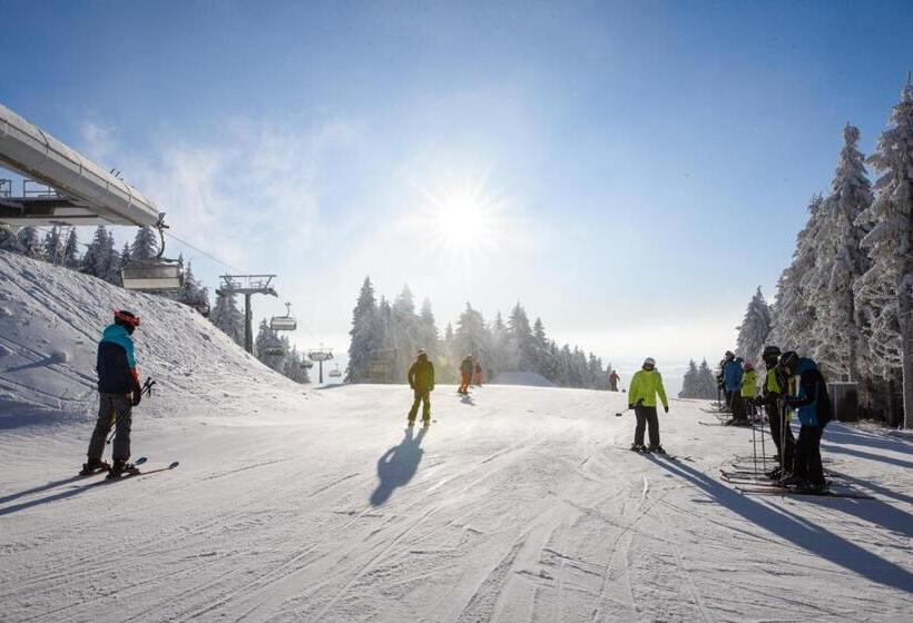 膳宿费 Penzion Pašta