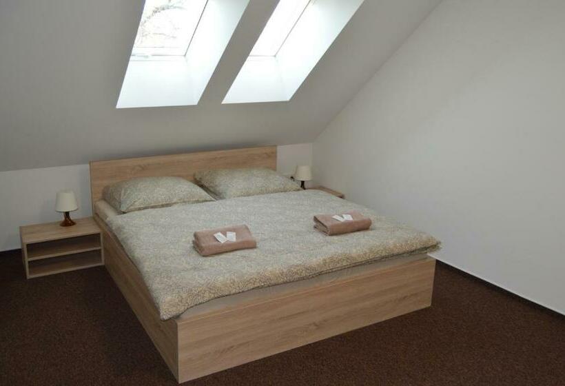 פנסיון Penzion Sezemice